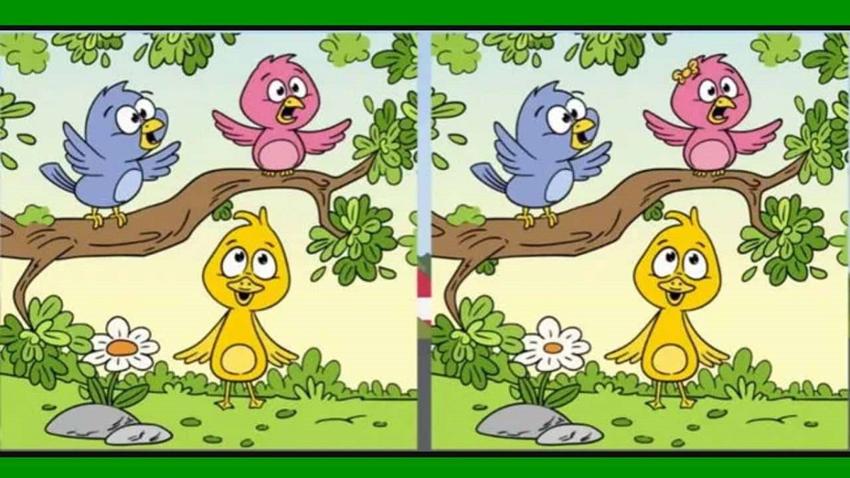 Ilustração de três passarinhos e um pato amarelo em um cenário verde, destacando um jogo de encontrar as diferenças.