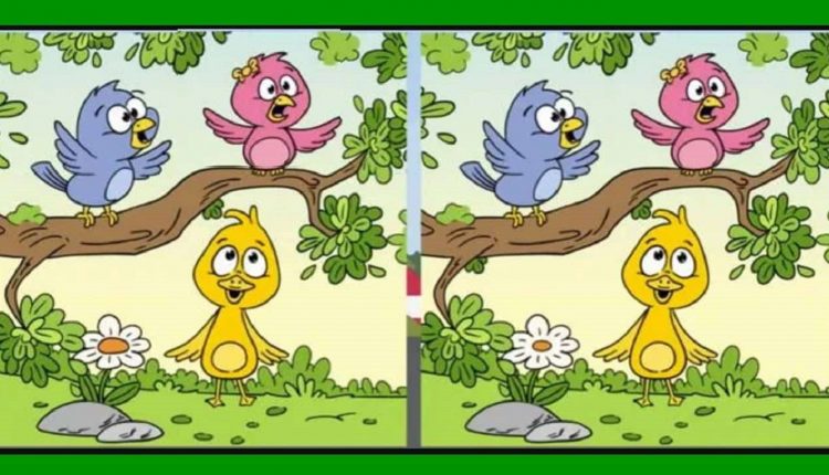 Ilustração de três passarinhos e um pato amarelo em um cenário verde, destacando um jogo com raciocínio lógico de encontrar as diferenças.