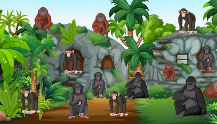 raciocínio lógico você é capaz de dizer quantos macacos tem na imagem