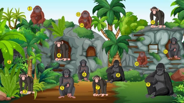 raciocínio lógico você é capaz de dizer quantos macacos tem na imagem solução