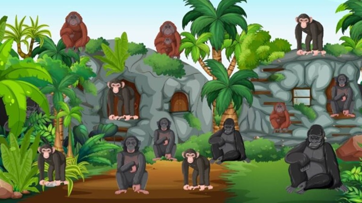 raciocínio lógico você é capaz de dizer quantos macacos tem na imagem