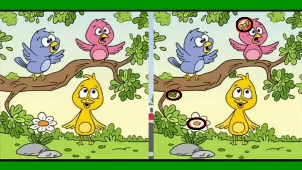 Ilustração de três passarinhos e um pato amarelo em um cenário verde, destacando um jogo com raciocínio lógico de encontrar as diferenças.