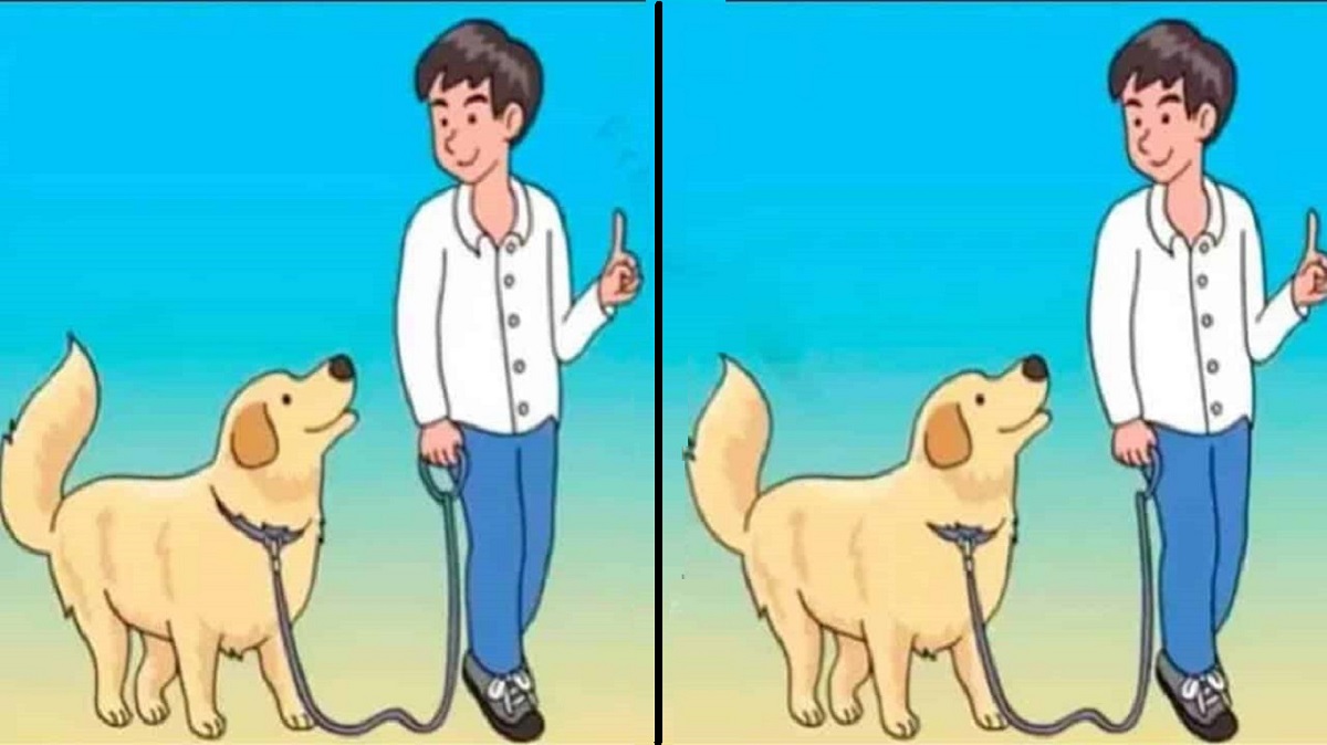 Ilustração de um jovem com um cachorro em duas imagens lado a lado, destacando pequenas diferenças entre elas.