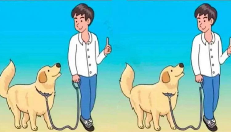 Raciocínio Lógico com Ilustração de um jovem com um cachorro em duas imagens lado a lado, destacando pequenas diferenças entre elas.