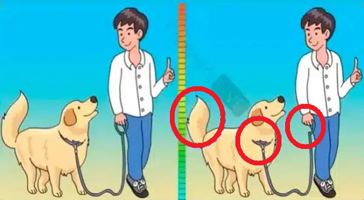 Solução Ilustração de um jovem com um cachorro em duas imagens lado a lado, destacando pequenas diferenças entre elas.