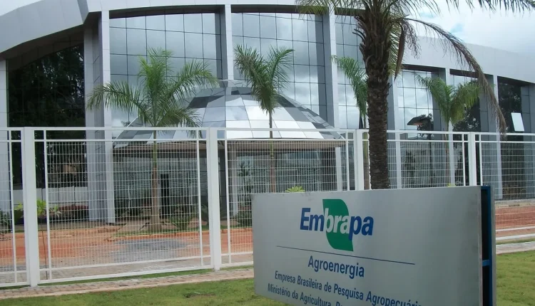 Fachada da Embrapa Agroenergia com o logo e o nome da empresa visíveis, ilustrando a sede de um dos locais de prova do concurso Embrapa 2025.