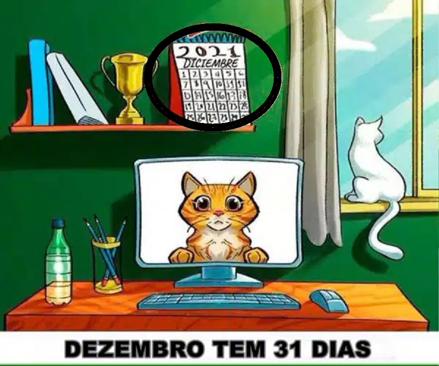 Solução do desafio lógico de um escritório com um computador exibindo a imagem de um gato laranja e um gato branco sentado na janela.