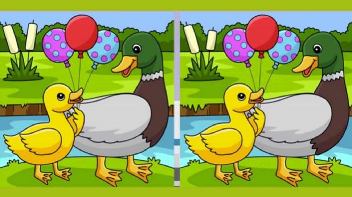 Ilustração colorida de um pato e um patinho segurando balões, com diferenças sutis entre duas versões da imagem.