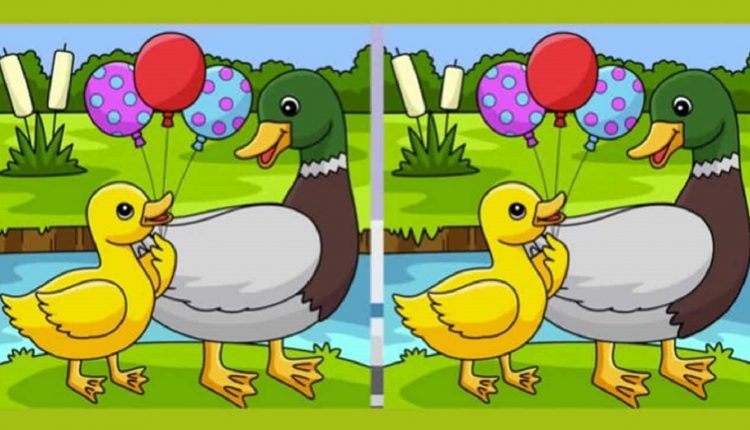 Desafio visual colorido de um pato e um patinho segurando balões, com diferenças sutis entre duas versões da imagem.