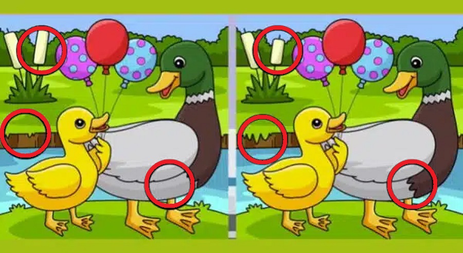 Solução do desafio visual colorido de um pato e um patinho segurando balões, com diferenças sutis entre duas versões da imagem.