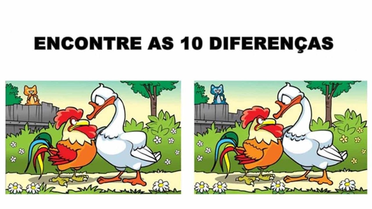 Imagem de um jogo dos dez erros com um galo e um pato, desafiando o observador a encontrar as 10 diferenças