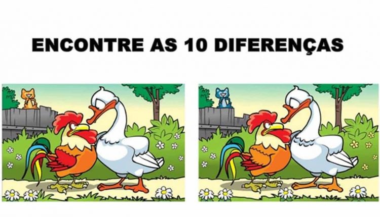 Raciocínio lógico de um jogo dos dez erros com um galo e um pato, desafiando o observador a encontrar as 10 diferenças.