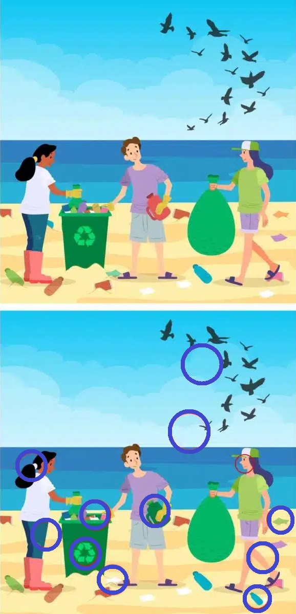 Solução do teste de QI de três pessoas limpando uma praia, com um cesto de reciclagem e pássaros voando no céu.