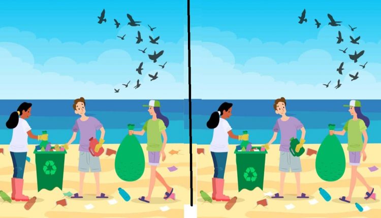 Teste de QI de três pessoas limpando uma praia, com um cesto de reciclagem e pássaros voando no céu.