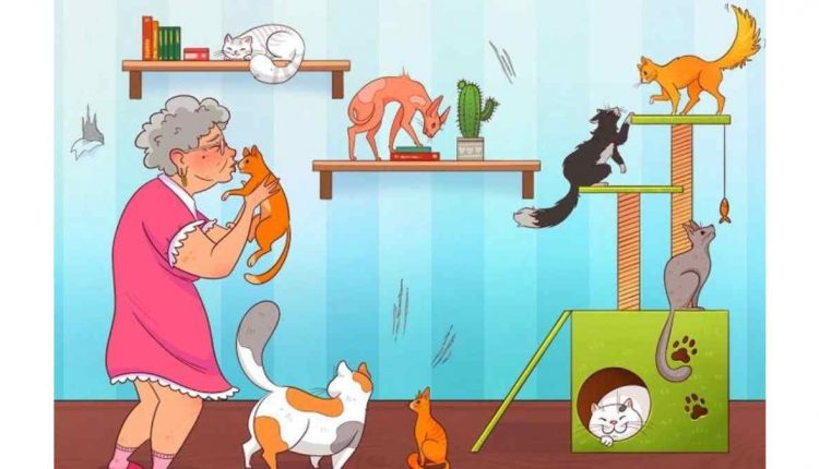 Teste de QI - Encontre o erro na imagem dos gatos. Fonte: Jagran Josh.